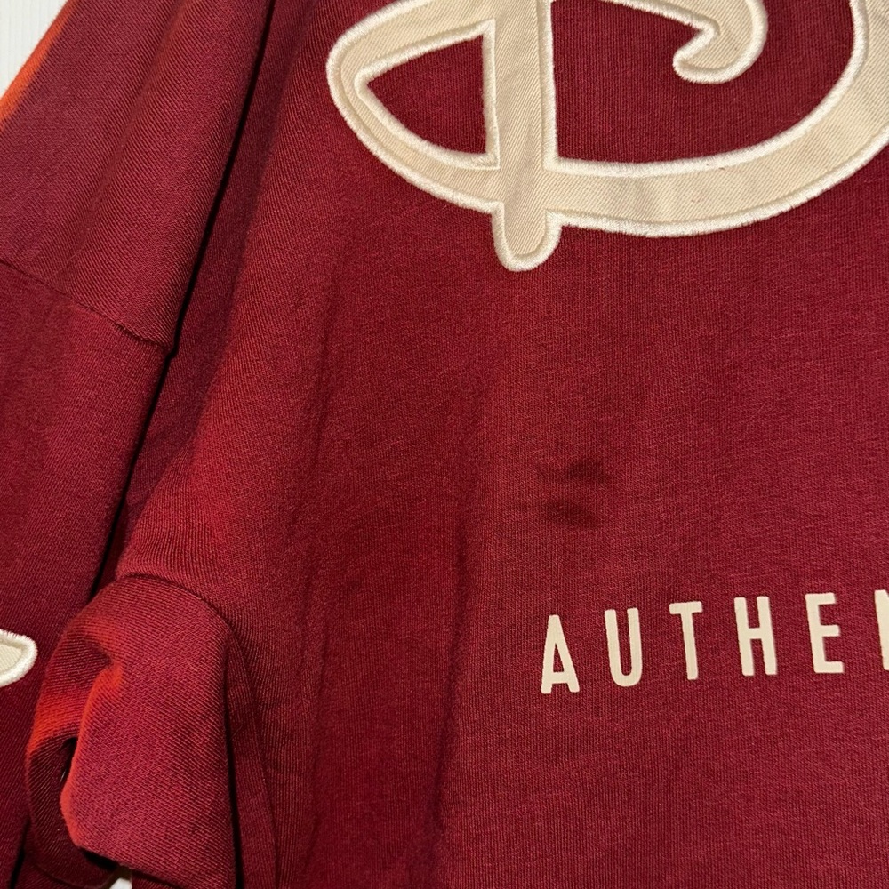 Disney World Maroon Hoodie - Picture 6 of 6